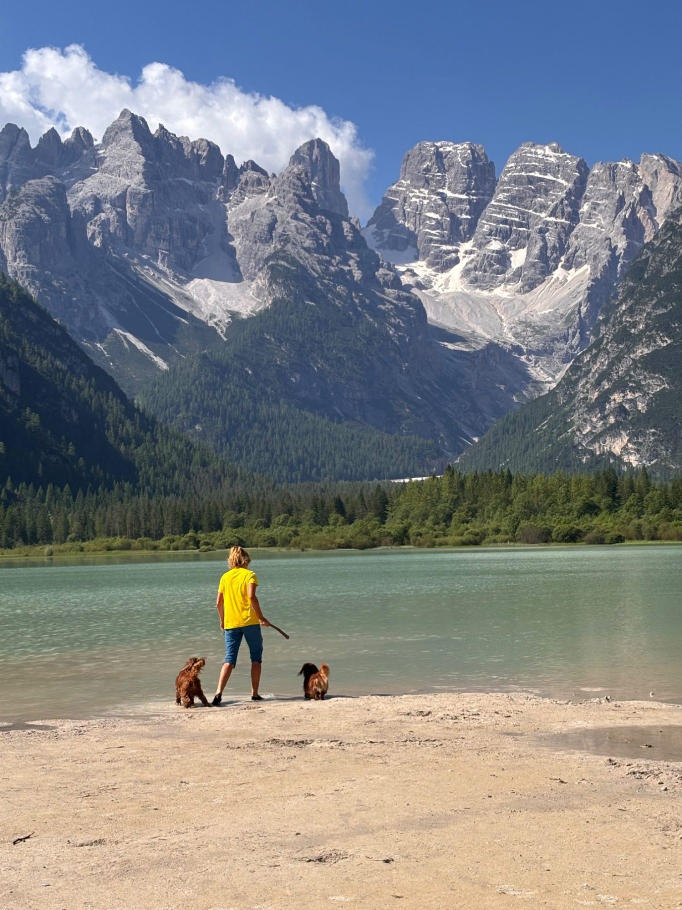 Person mit zwei Hunden am Ufer eines Sees, im Hintergrund hohe Berge und blauer Himmel.