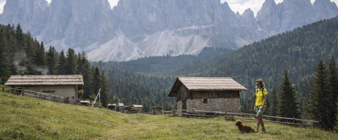Frau mit Hund spaziert in einer malerischen Berglandschaft bei Hütten.