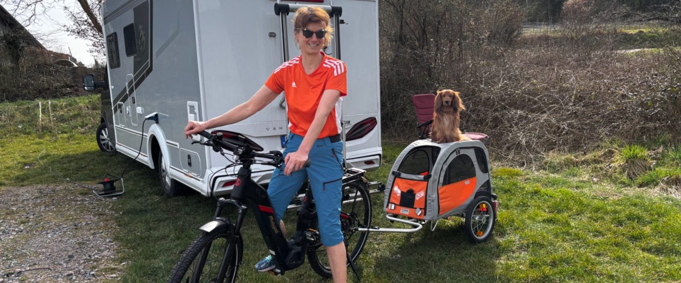 Spassbild: Dackel sitzt auf dem Fahrradanhäger, statt drinnen